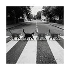 Cat Crossing Abbey Road — Black & White Matte Vertical Poster