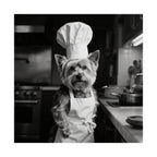 Chef Dog Poster — Matte Vertical Kitchen Wall Art (Yorkshire Terrier in Chef Hat)