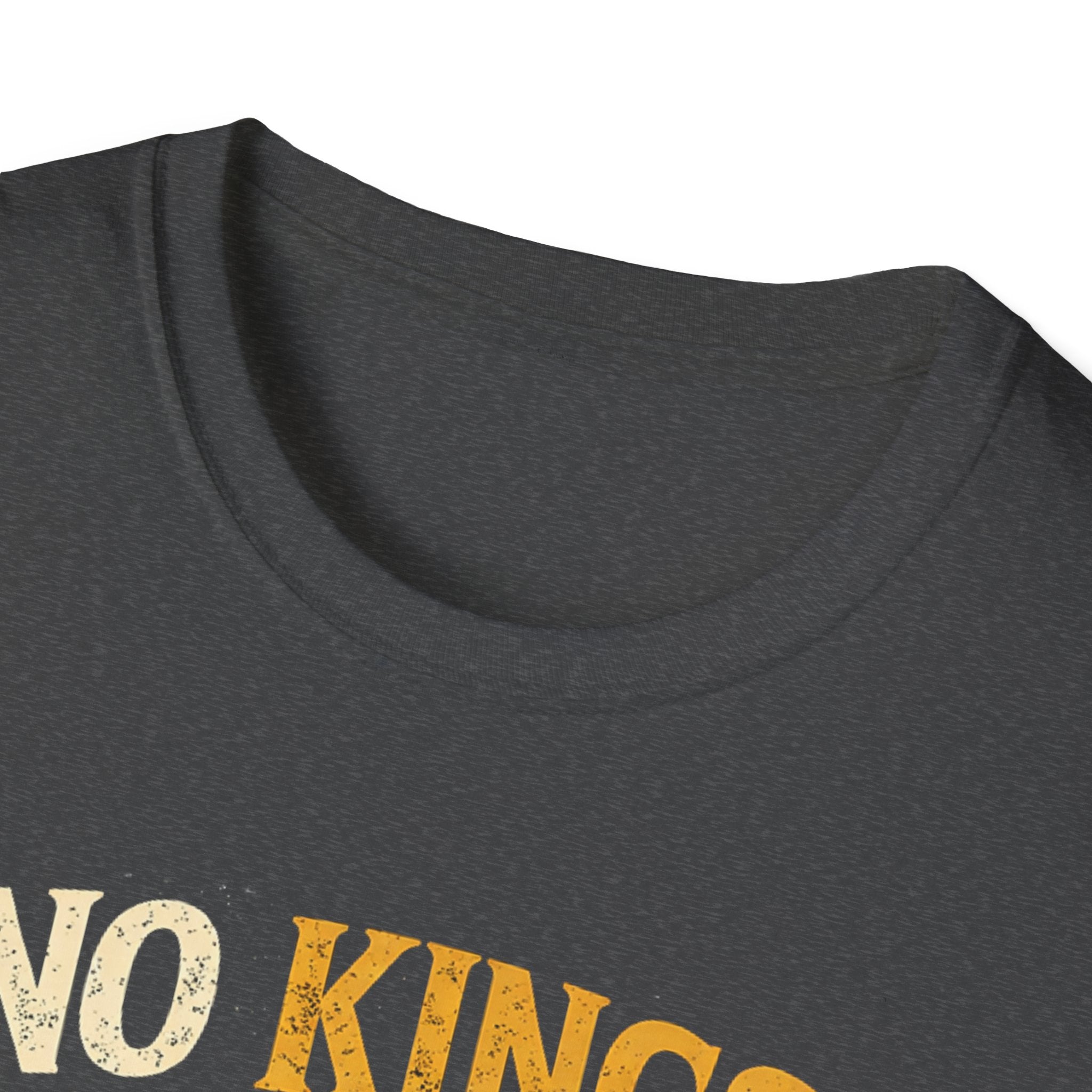 No Kings Except My Cat T-Shirt — Funny Cat Royalty Tee for Cat Lovers