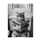 Cat Reading Newspaper Poster — Funny Black & White Matte Vertical Wall Art