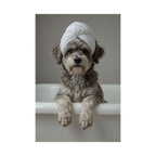 Dog Spa Poster — Cute Puppy in Towel Matte Vertical Wall Art