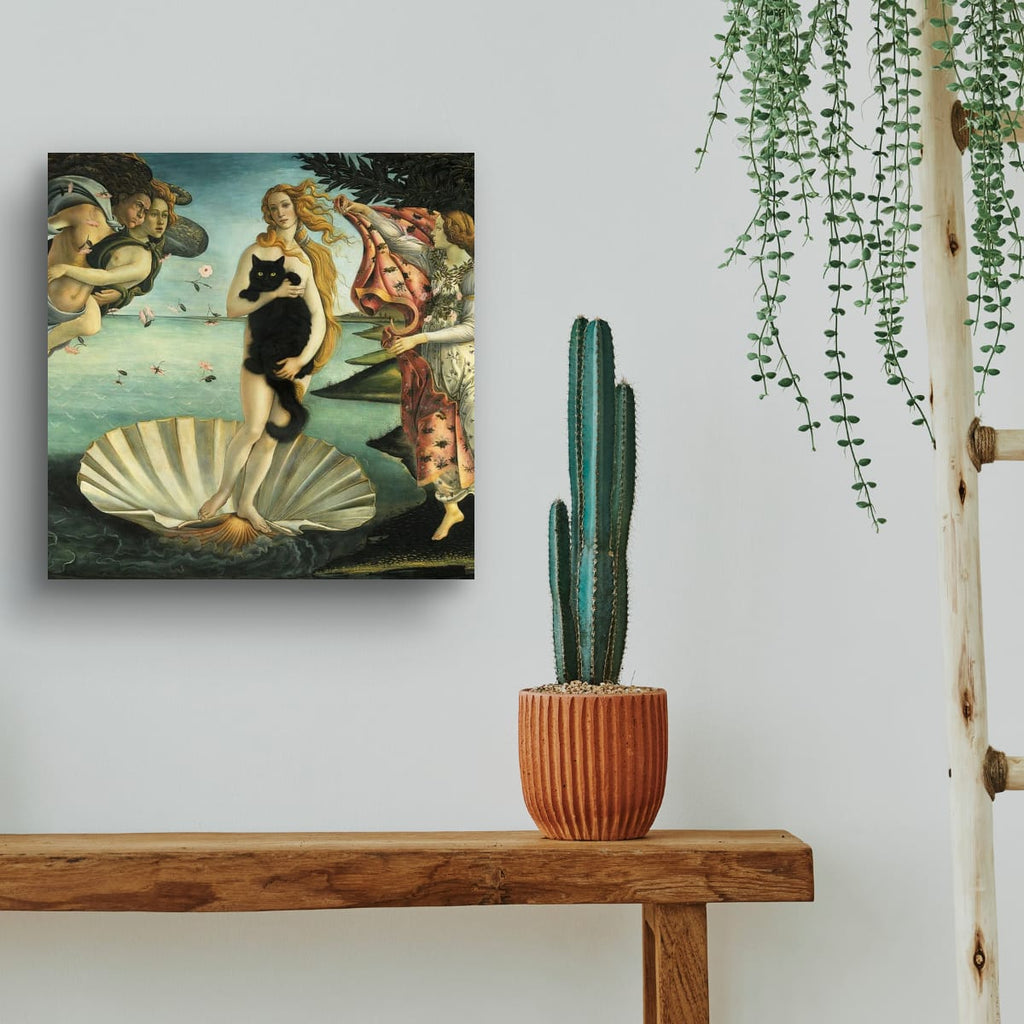 Venus with Black Cat Poster