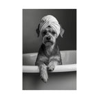 Spa Pup Matte Vertical Poster — Black & White Dog in Bathtub Print