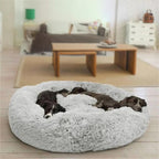 Calming Dog Bed