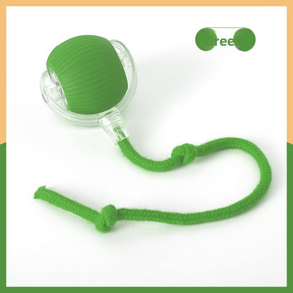 Electric Automatic Cat Teaser Ball with Adjustable Speed