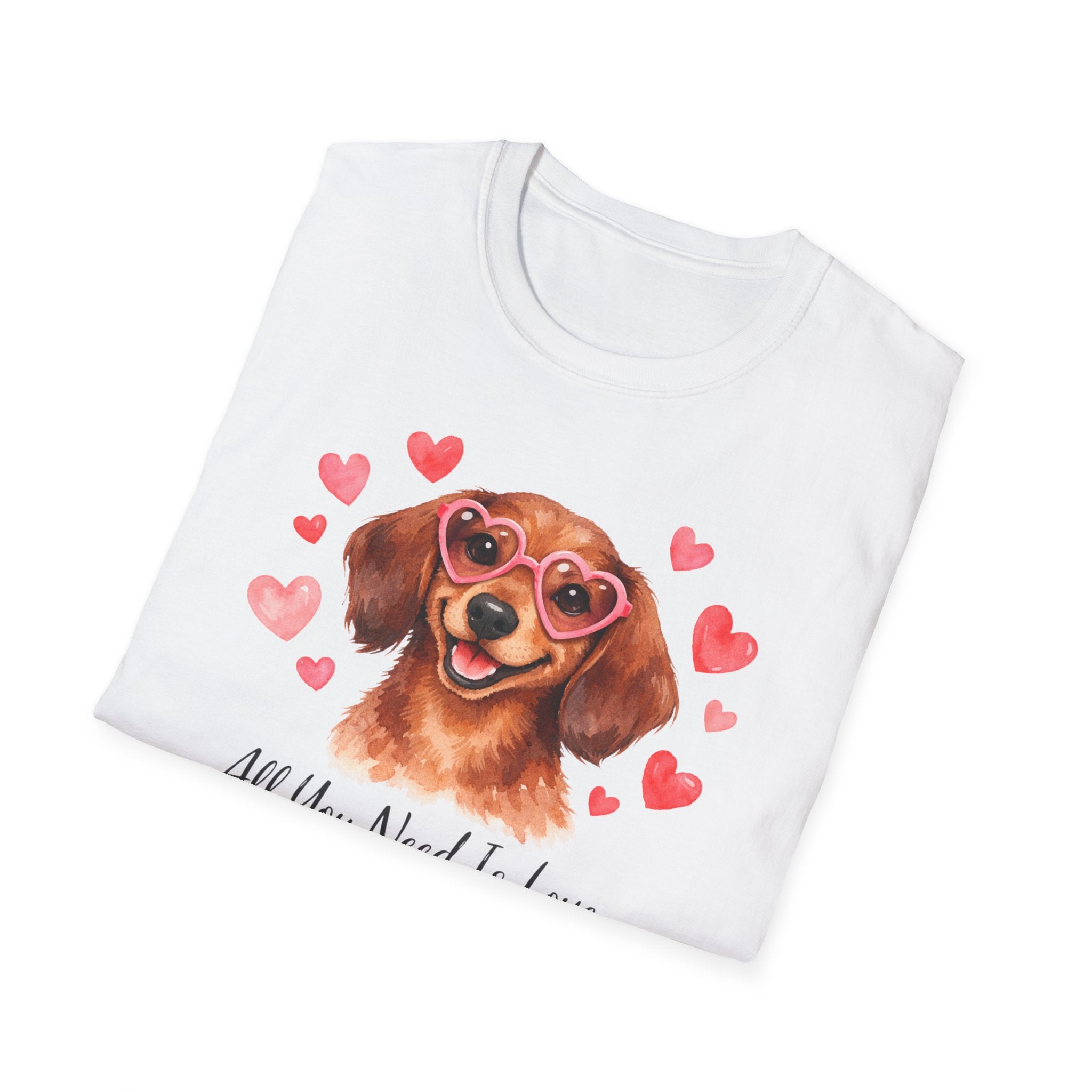 All You Need Is Love and a Dog Dachshund T-Shirt
