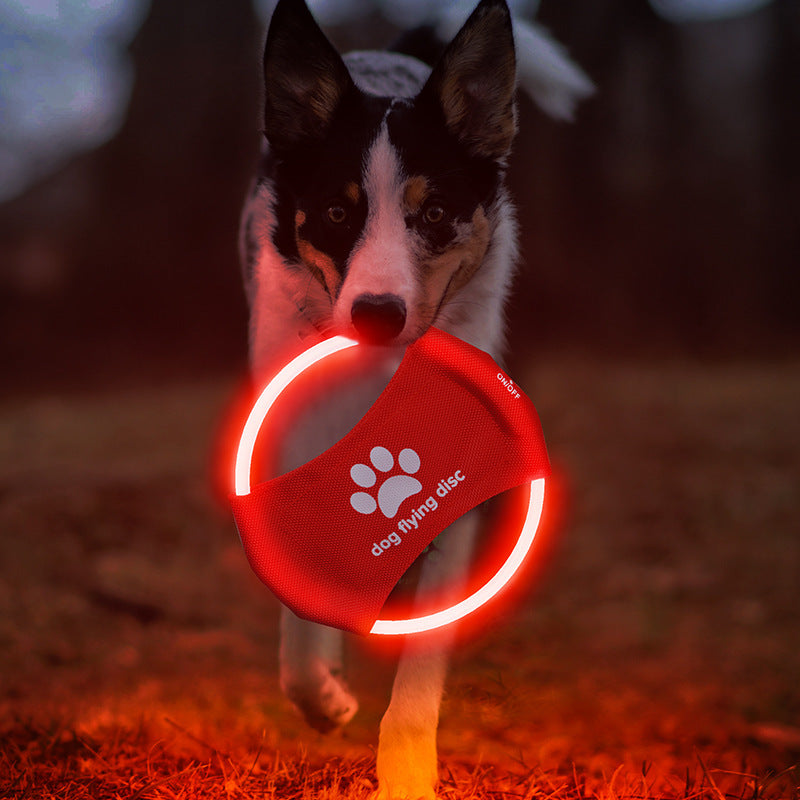 Frisbee de juguete para mascotas 