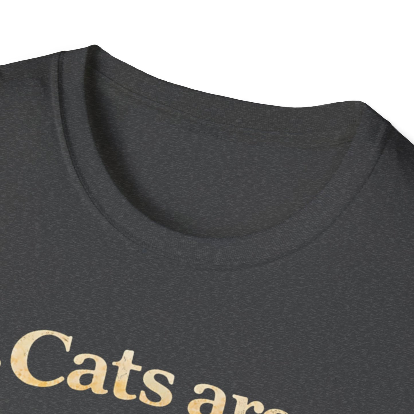 Cats Are Miracles On Legs T-Shirt — Funny Cat Lover Tee