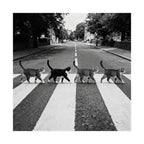 Cat Crossing Abbey Road — Black & White Matte Vertical Poster