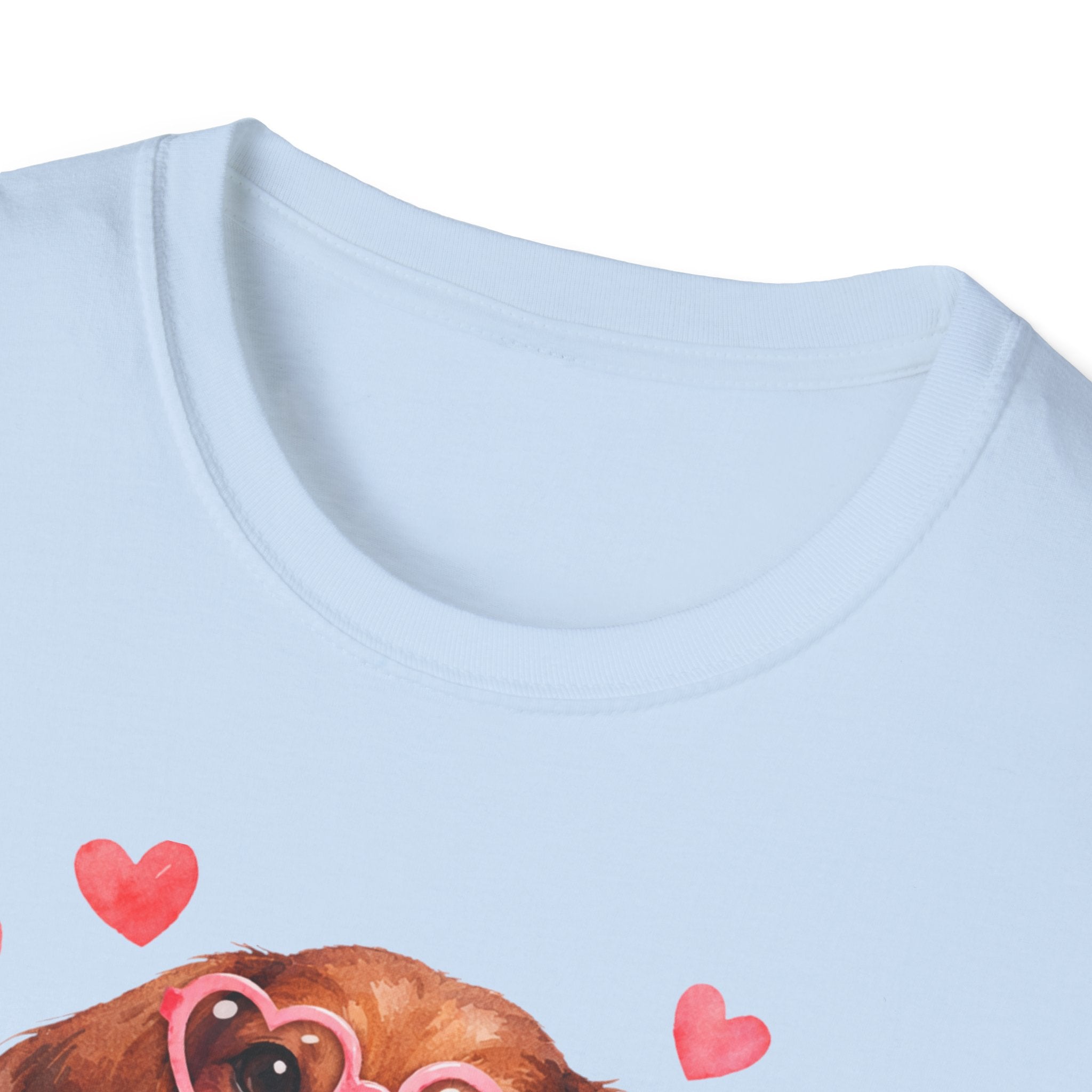 All You Need Is Love and a Dog Dachshund T-Shirt