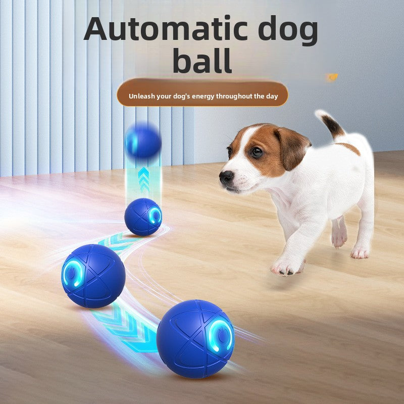 Pet electric gravity jumping ball