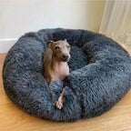 Calming Dog Bed