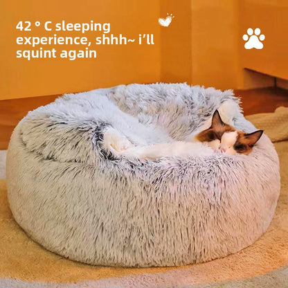 cat house