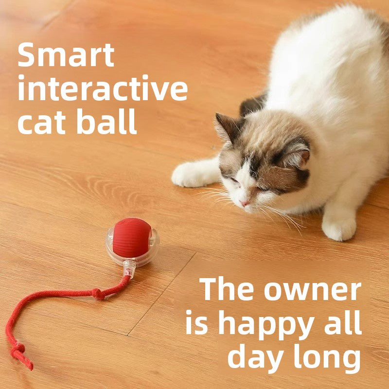 Electric Automatic Cat Teaser Ball with Adjustable Speed