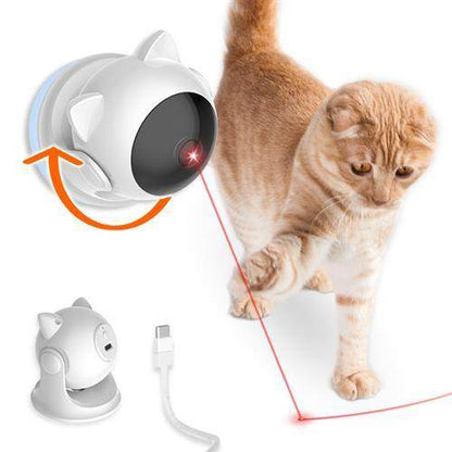 Smart Cat Teaser