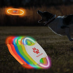 Frisbee de juguete para mascotas 